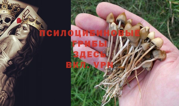 кокс Балабаново