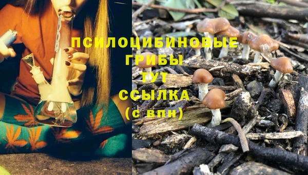 амфетамин Аркадак