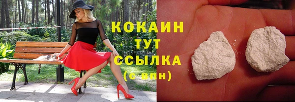 индика Армянск