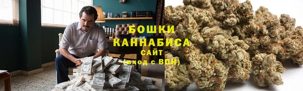 индика Армянск