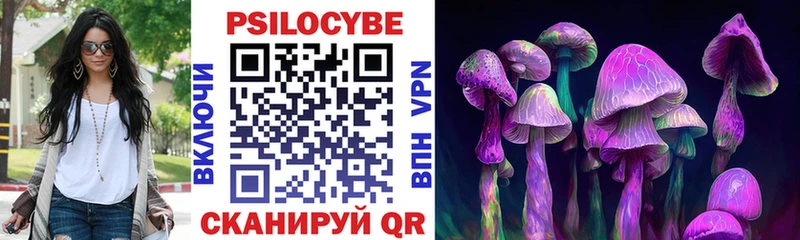 цена наркотик  Каспийск  Псилоцибиновые грибы Psilocybine cubensis 