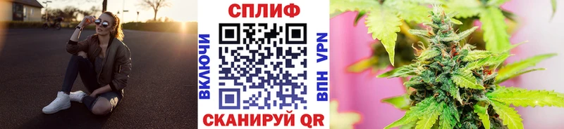 Каннабис план Каспийск